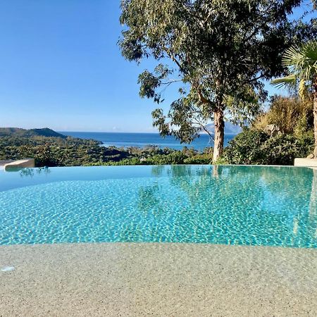 Studio, Vue Sur Mer Et Montagne Saint-Florent  Eksteriør billede