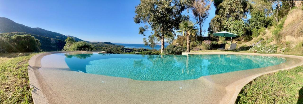 Studio, Vue Sur Mer Et Montagne Saint-Florent  Eksteriør billede