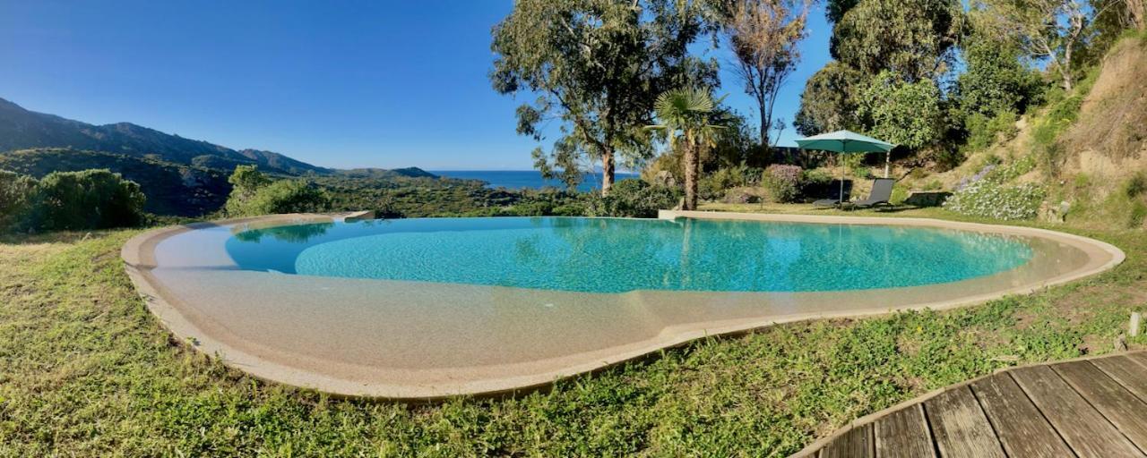 Studio, Vue Sur Mer Et Montagne Saint-Florent  Eksteriør billede