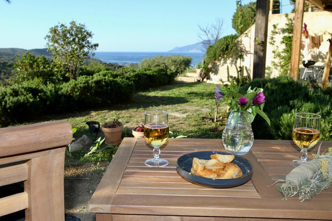 Studio, Vue Sur Mer Et Montagne Saint-Florent  Eksteriør billede