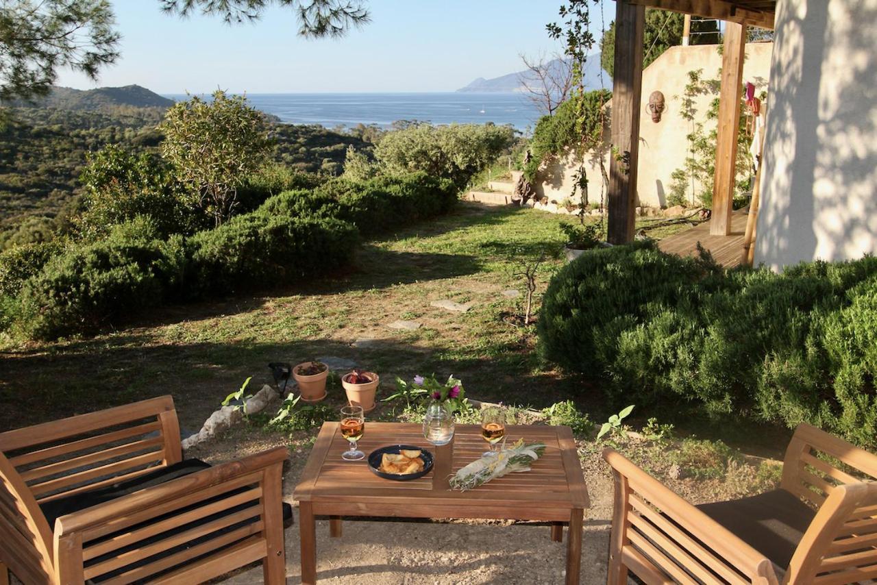 Studio, Vue Sur Mer Et Montagne Saint-Florent  Eksteriør billede